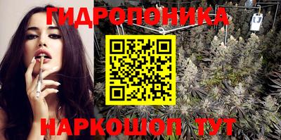 Альфа ПВП Кимры