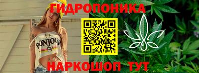Альфа ПВП Кимры